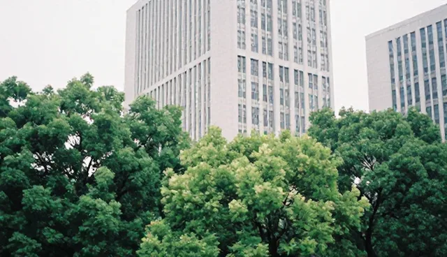 研学旅行与商务考察服务的融合发展路径